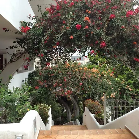 Lägenhet New Beautiful Apartment!beaches Nearby!ocean View! Costa Adeje (Tenerife)