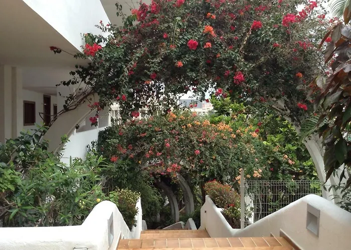 Appartement New Beautiful Apartment!beaches Nearby!ocean View! Costa Adeje (Tenerife)